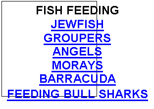 Text Box: FISH FEEDING
JEWFISH
GROUPERS
ANGELS
MORAYS
BARRACUDA
FEEDING BULL SHARKS
